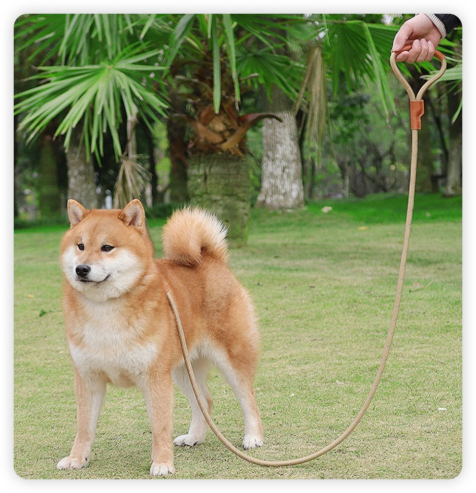 New dog leash imitation nylon reflective dog leash explosion-proof punch