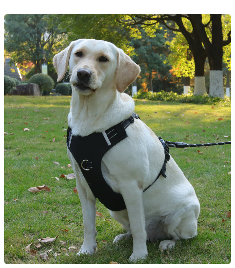 Dog leash, explosion-proof, large dog chest harness, vest style reflective dog chest and back outdoor walking leash