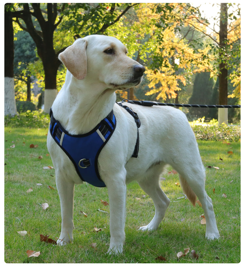 Dog leash, explosion-proof, large dog chest harness, vest style reflective dog chest and back outdoor walking leash