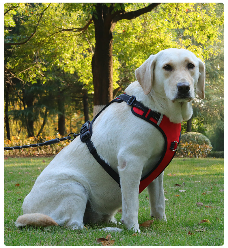 Dog leash, explosion-proof, large dog chest harness, vest style reflective dog chest and back outdoor walking leash
