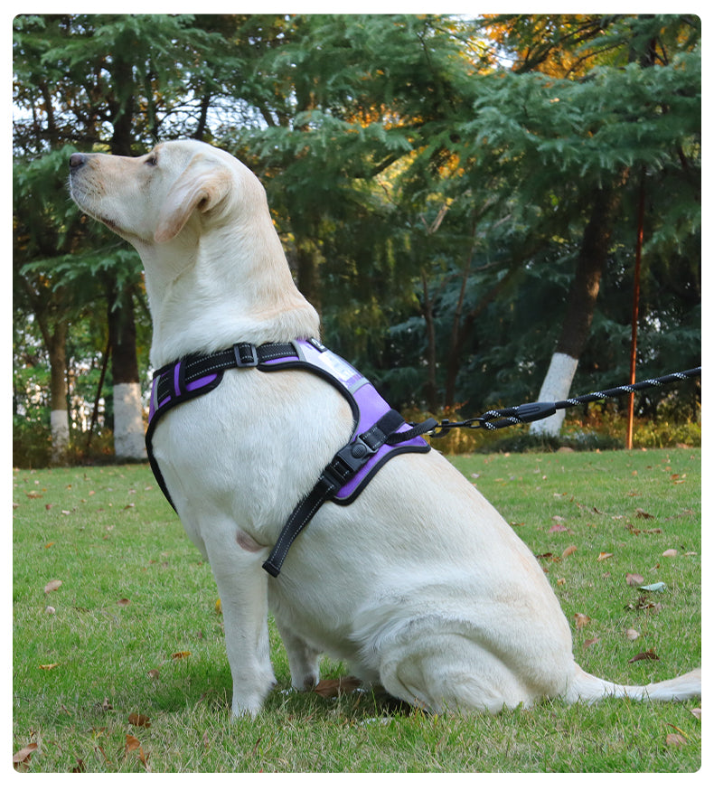 Dog leash, explosion-proof, large dog chest harness, vest style reflective dog chest and back outdoor walking leash